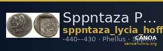 Sppntaza Phellus Hoff 2017 M249 — CANOA
