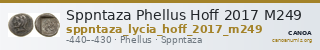 Sppntaza Phellus Hoff 2017 M249 — CANOA