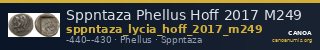 Sppntaza Phellus Hoff 2017 M249 — CANOA