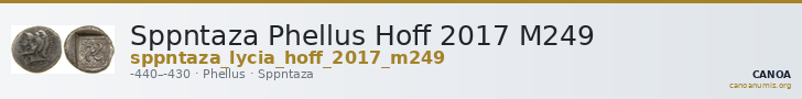 Sppntaza Phellus Hoff 2017 M249 — CANOA