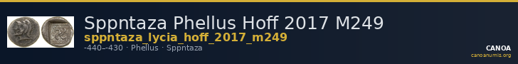 Sppntaza Phellus Hoff 2017 M249 — CANOA