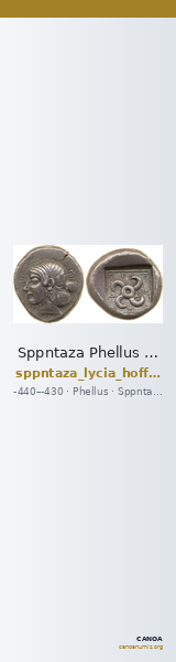Sppntaza Phellus Hoff 2017 M250-1 — CANOA