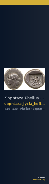 Sppntaza Phellus Hoff 2017 M250-1 — CANOA