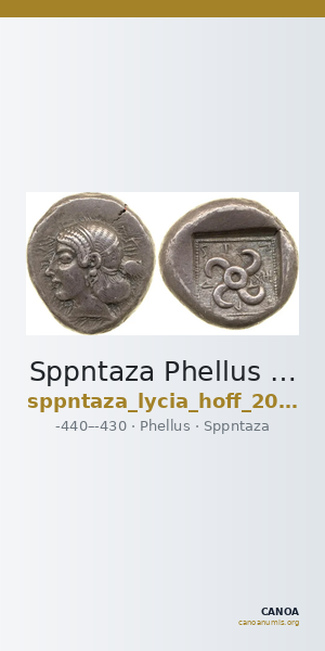 Sppntaza Phellus Hoff 2017 M250-1 — CANOA