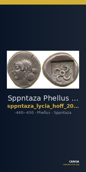 Sppntaza Phellus Hoff 2017 M250-1 — CANOA
