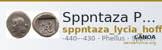 Sppntaza Phellus Hoff 2017 M250-1 — CANOA