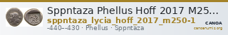 Sppntaza Phellus Hoff 2017 M250-1 — CANOA