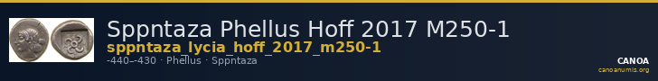 Sppntaza Phellus Hoff 2017 M250-1 — CANOA