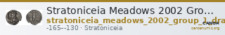 Stratoniceia Meadows 2002 Group 1 drachm — CANOA