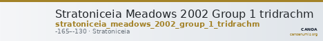 Stratoniceia Meadows 2002 Group 1 tridrachm — CANOA