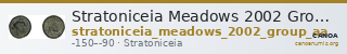 Stratoniceia Meadows 2002 Group Aa — CANOA