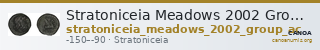 Stratoniceia Meadows 2002 Group Ac — CANOA