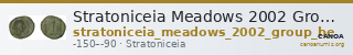 Stratoniceia Meadows 2002 Group Be — CANOA