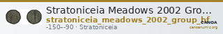 Stratoniceia Meadows 2002 Group Bf — CANOA