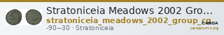 Stratoniceia Meadows 2002 Group Cg — CANOA