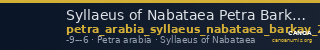 Syllaeus of Nabataea Petra Barkay 2019 76 — CANOA