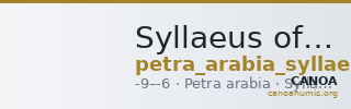 Syllaeus of Nabataea Petra Barkay 2019 77 — CANOA