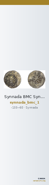 Synnada BMC Synnada 1 — CANOA