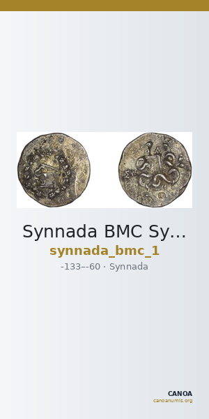 Synnada BMC Synnada 1 — CANOA