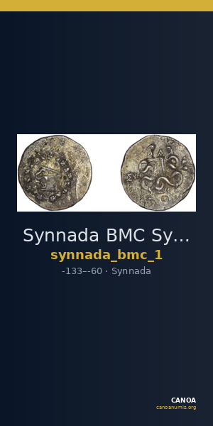 Synnada BMC Synnada 1 — CANOA