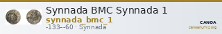 Synnada BMC Synnada 1 — CANOA