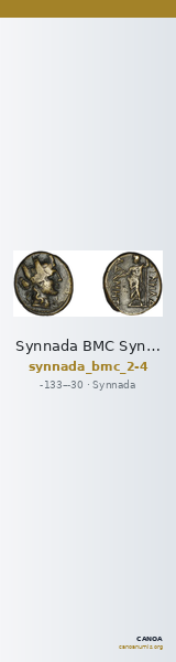 Synnada BMC Synnada 2-4 — CANOA