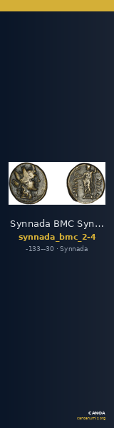 Synnada BMC Synnada 2-4 — CANOA