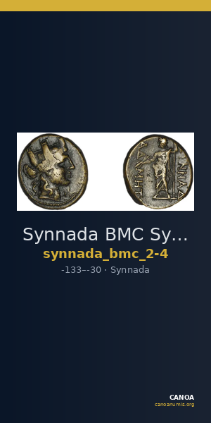Synnada BMC Synnada 2-4 — CANOA
