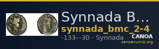 Synnada BMC Synnada 2-4 — CANOA