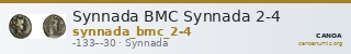 Synnada BMC Synnada 2-4 — CANOA