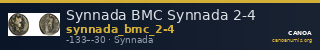 Synnada BMC Synnada 2-4 — CANOA