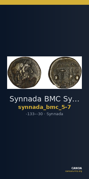 Synnada BMC Synnada 5-7 — CANOA