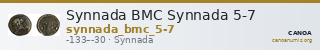 Synnada BMC Synnada 5-7 — CANOA