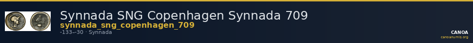 Synnada SNG Copenhagen Synnada 709 — CANOA