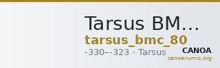 Tarsus BMC Tarsus 80 — CANOA