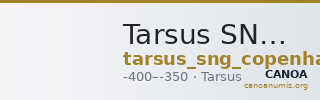 Tarsus SNG Copenhagen Tarsus 303 — CANOA