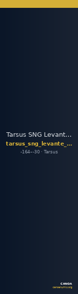 Tarsus SNG Levante 917 — CANOA