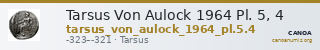 Tarsus Von Aulock 1964 Pl. 5, 4 — CANOA