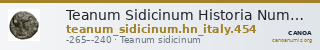 Teanum Sidicinum Historia Numorum Italy 454 — CANOA