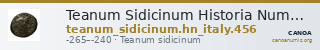 Teanum Sidicinum Historia Numorum Italy 456 — CANOA