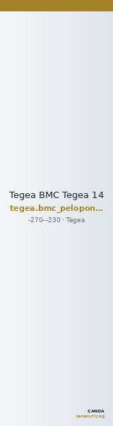 Tegea BMC Tegea 14 — CANOA