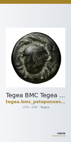 Tegea BMC Tegea 15-6 — CANOA