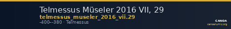 Telmessus Müseler 2016 VII, 29 — CANOA