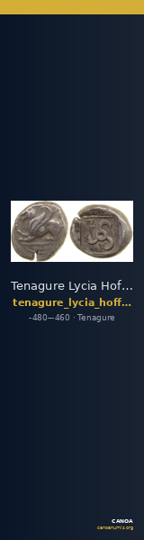 Tenagure Lycia Hoff 2017 M252-4 — CANOA
