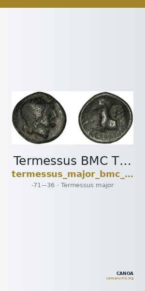 Termessus BMC Termessus Major 17-23 — CANOA