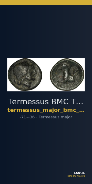 Termessus BMC Termessus Major 17-23 — CANOA