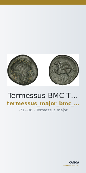 Termessus BMC Termessus Major 3-16 — CANOA