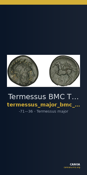 Termessus BMC Termessus Major 3-16 — CANOA