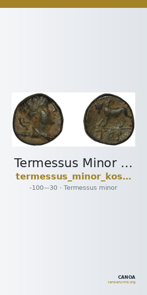 Termessus Minor Kosmetatou 1998 VI-VII — CANOA