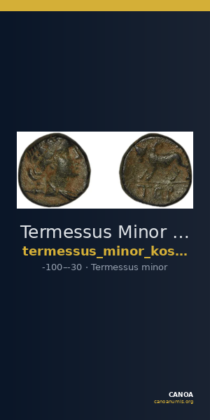 Termessus Minor Kosmetatou 1998 VI-VII — CANOA